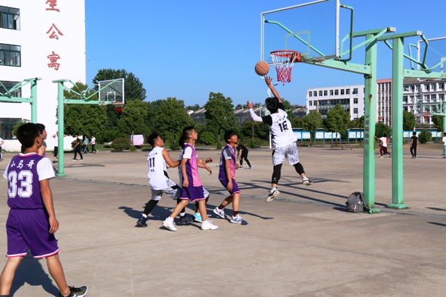 六安新安中学第八届男子篮球联赛决赛 (13).JPG